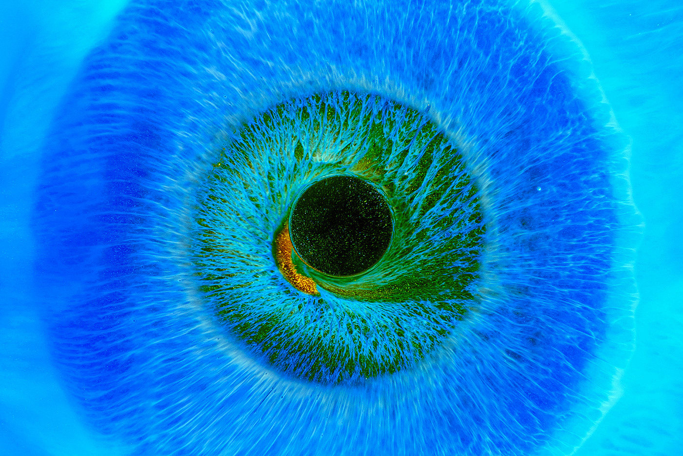 eye，Photography，Art appreciation，product design，