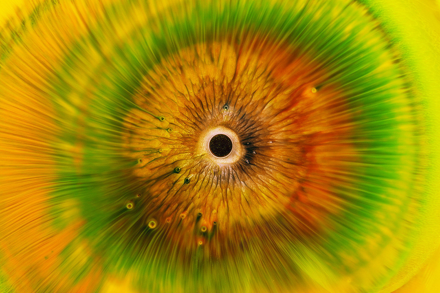eye，Photography，Art appreciation，product design，