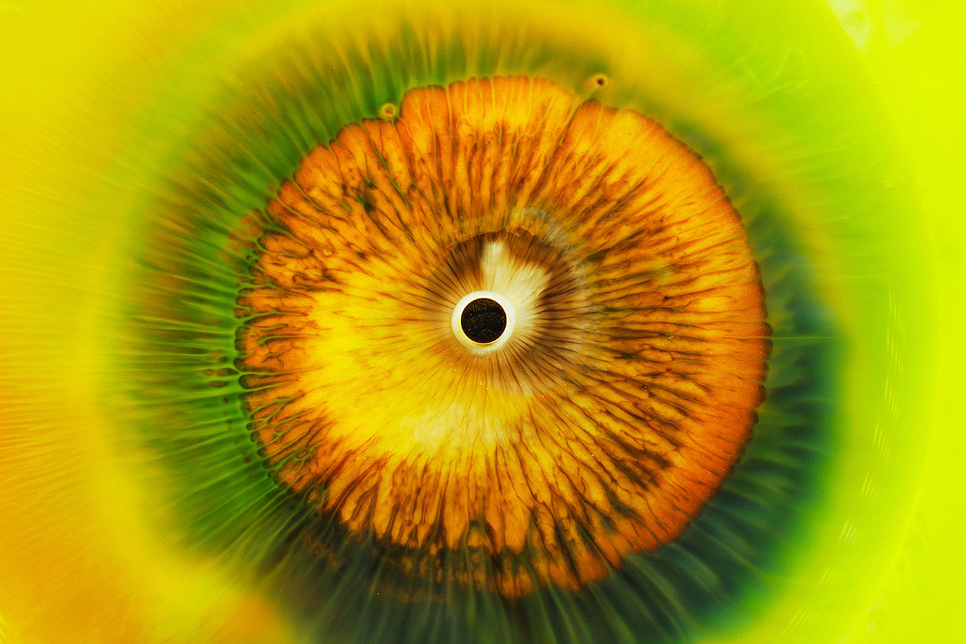 eye，Photography，Art appreciation，product design，