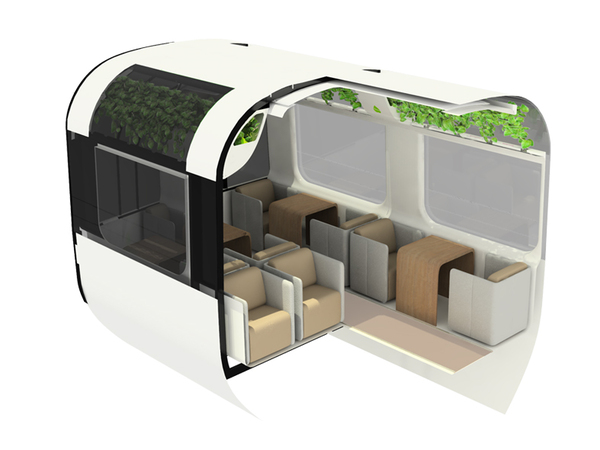 intelligence，irrigation，Botany，