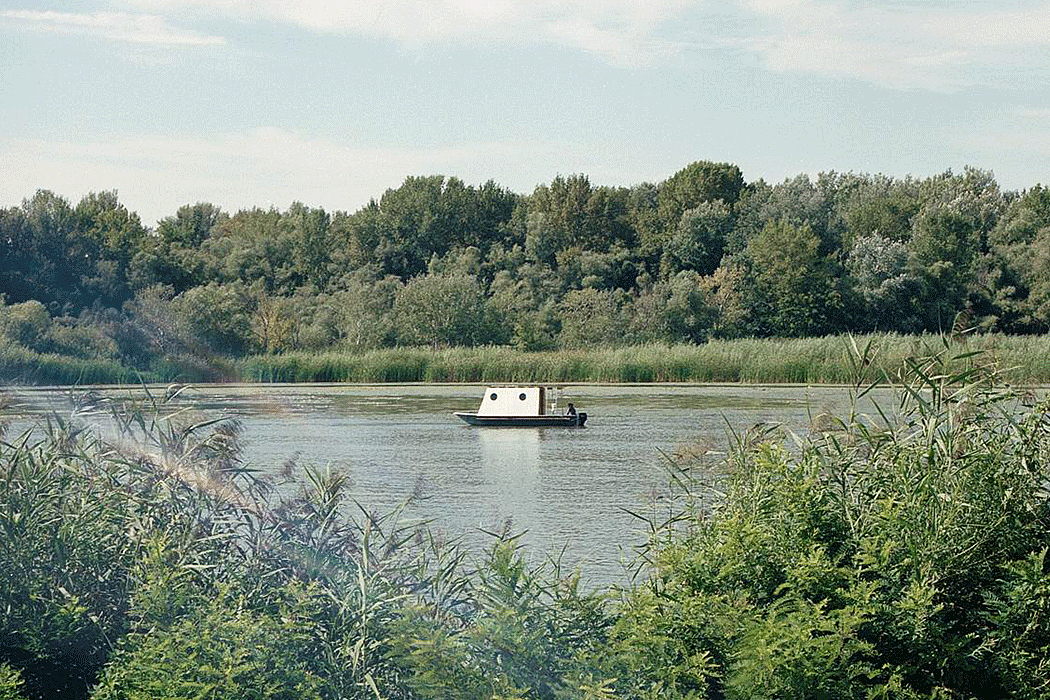 Tamás Bene，Small yacht，，Bene，