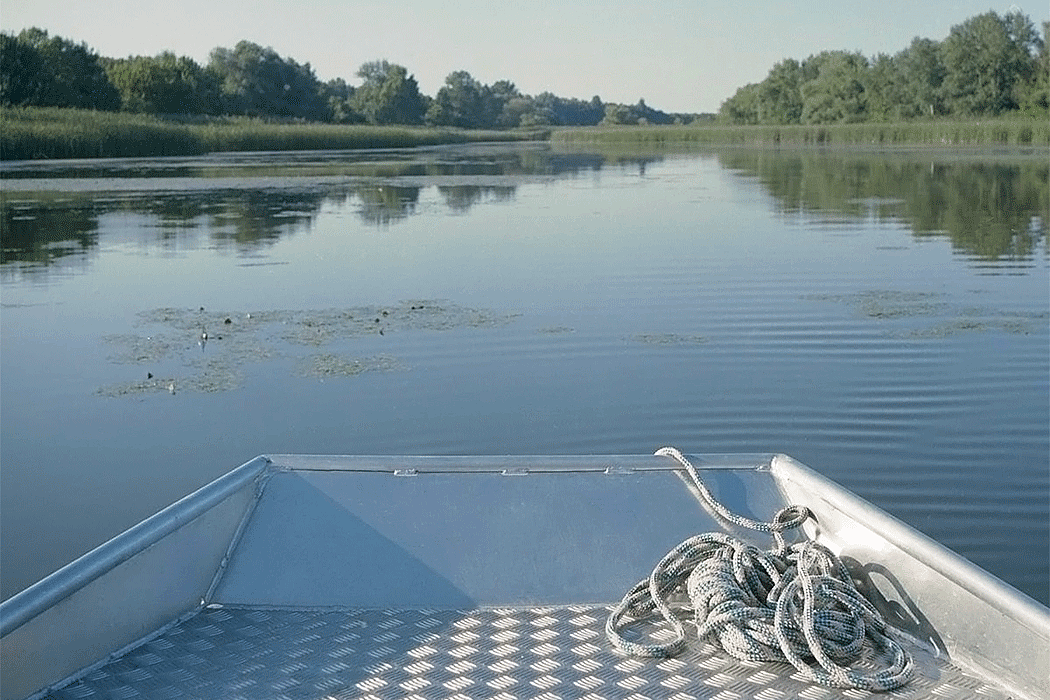 Tamás Bene，Small yacht，，Bene，