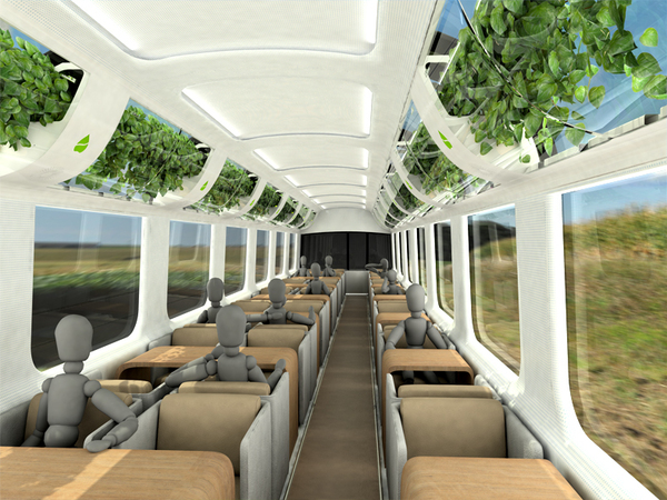 intelligence，irrigation，Botany，