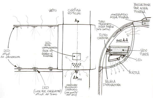 intelligence，irrigation，Botany，