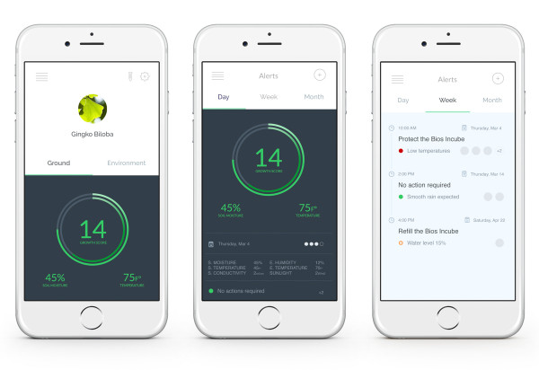 The cinerary casket，app，intelligence，General image，bios，culture medium，