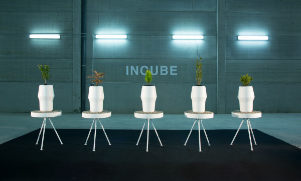 The cinerary casket，app，intelligence，General image，bios，culture medium，