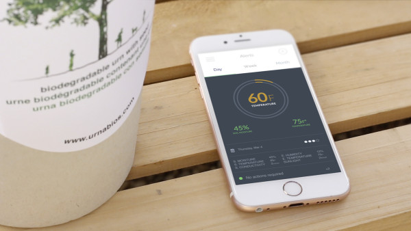 The cinerary casket，app，intelligence，General image，bios，culture medium，