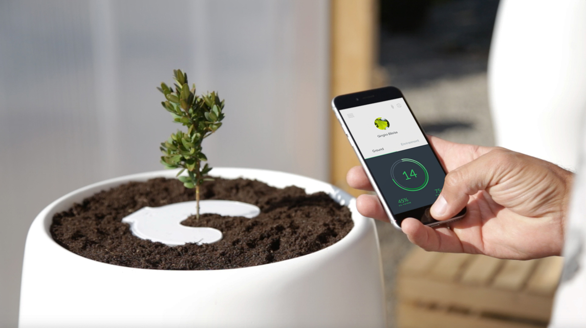 The cinerary casket，app，intelligence，General image，bios，culture medium，