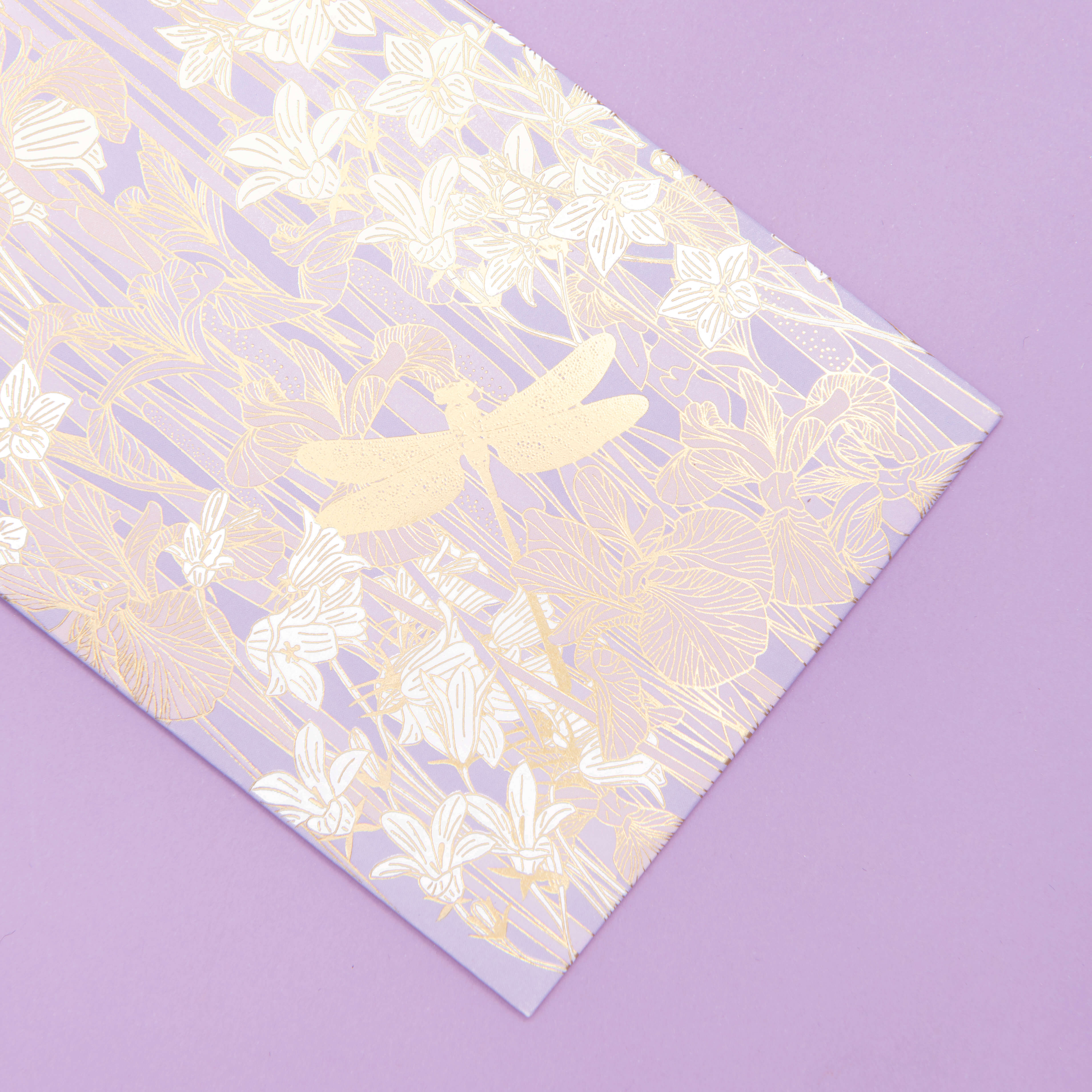 Red envelopes，Design，delicate，gilding，blessing，