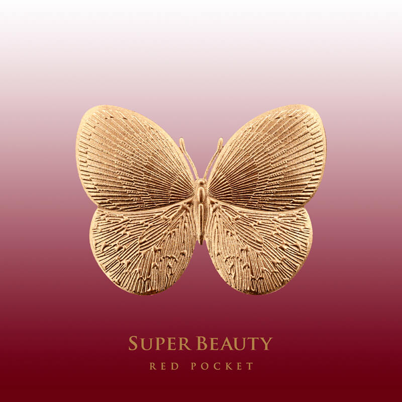 Red envelopes，Design，delicate，gilding，blessing，