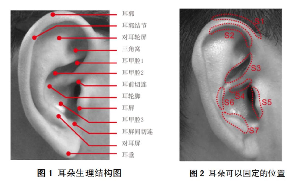 普象网