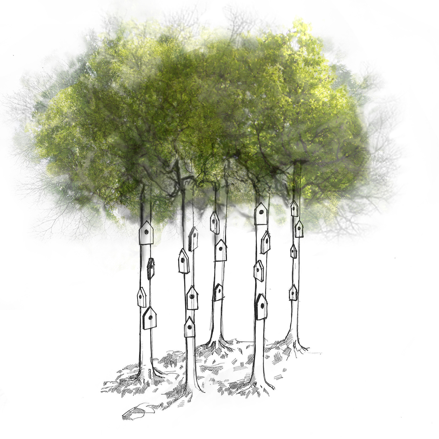 bird，Chinese chess，Interesting，egg，clay，3D printing，