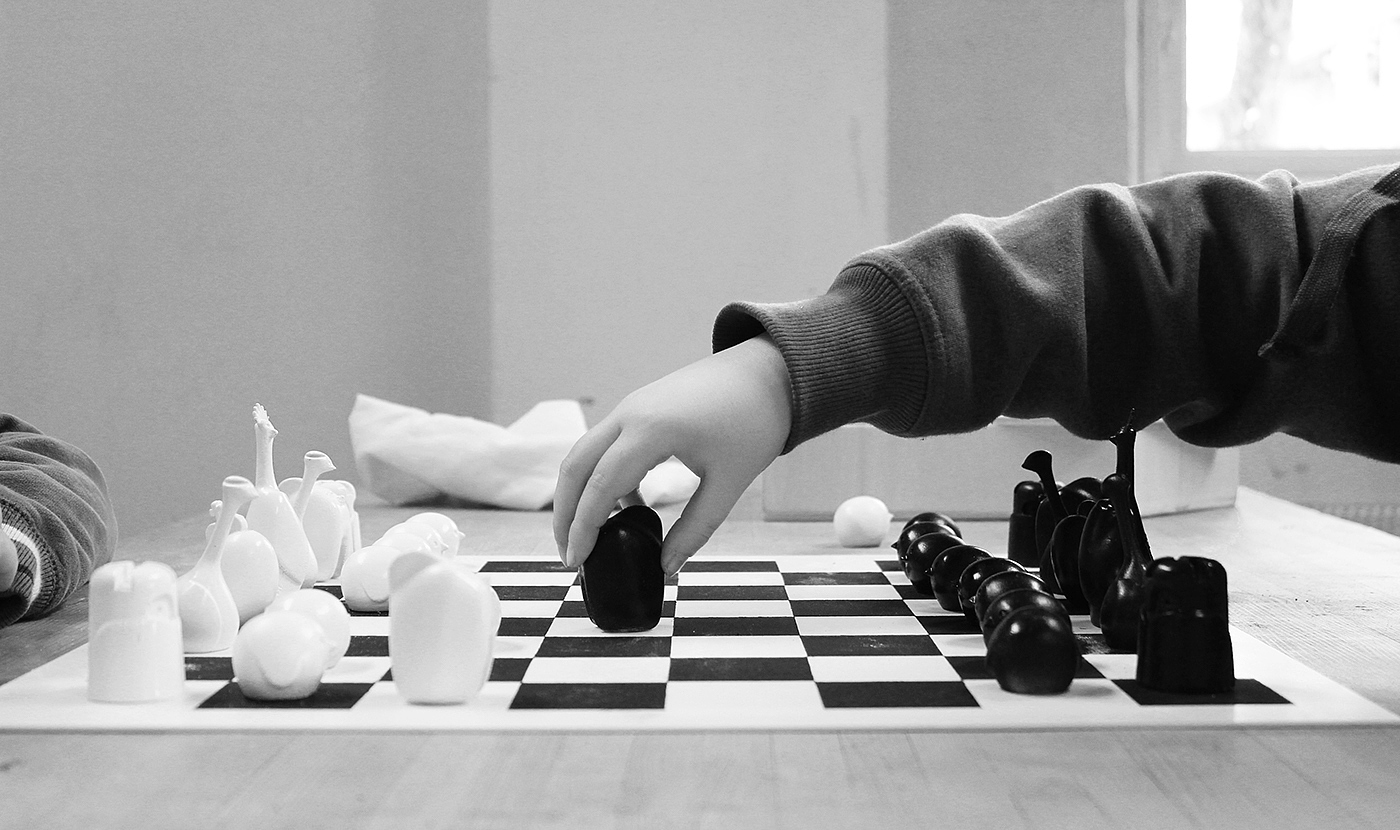 bird，Chinese chess，Interesting，egg，clay，3D printing，