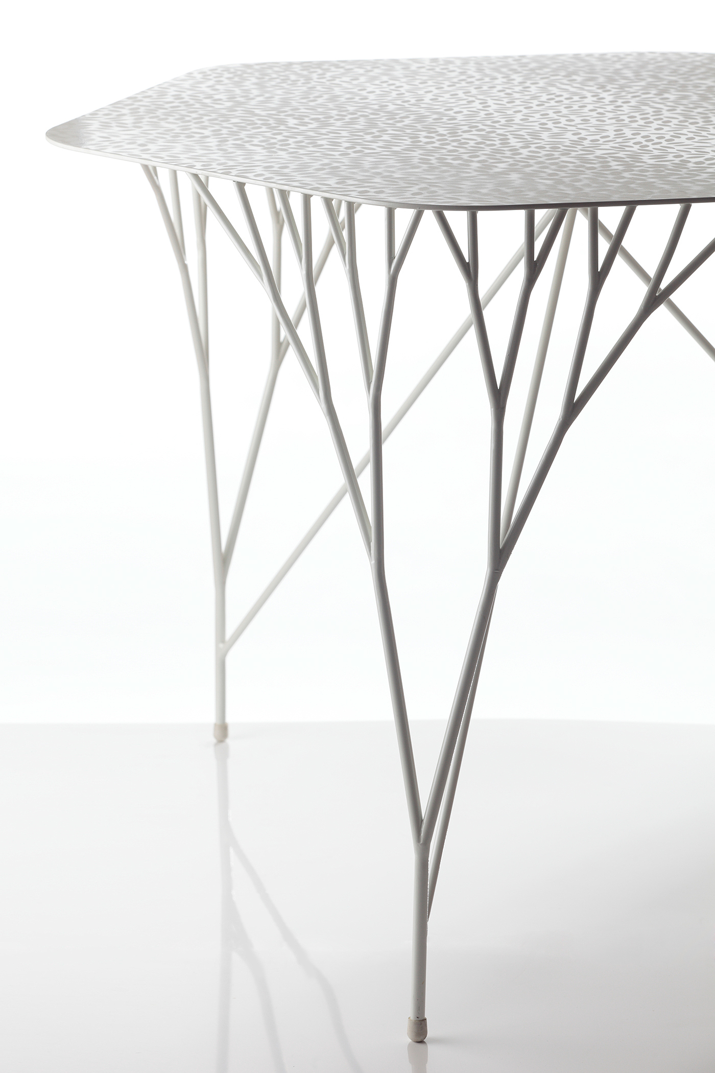 branch，Table，quiet，natural，Three feet，