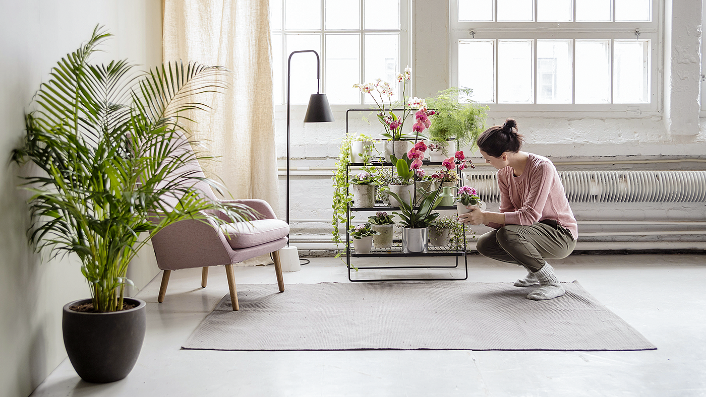 植物家具，Kekkiläa，多功能植物，绿盒，