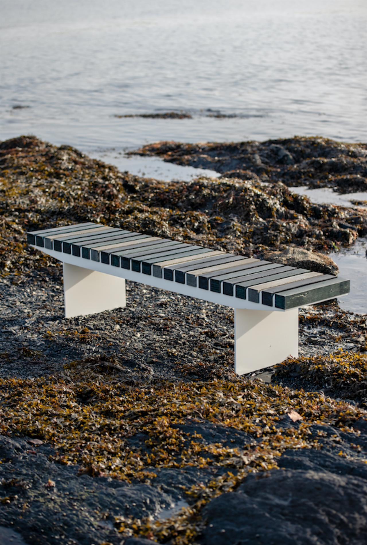 Coast，Allan Hagerup，Ownerless marine plastics，