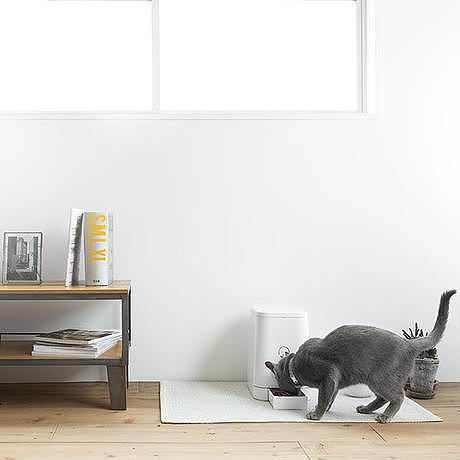 automatic，Feeder，Pets，Feeder，intelligence，