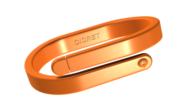 encrypted，Bracelet，display，touch，