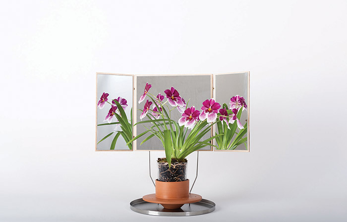 Flowerpot，Home partner，Handmade pottery pot，stainless steel，