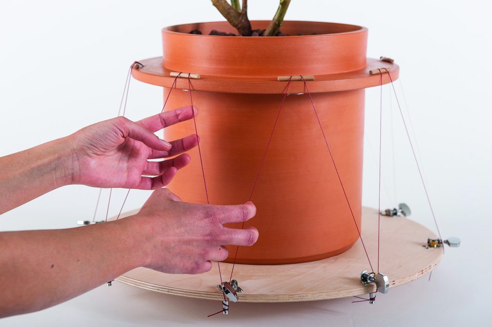 Flowerpot，Home partner，Handmade pottery pot，stainless steel，