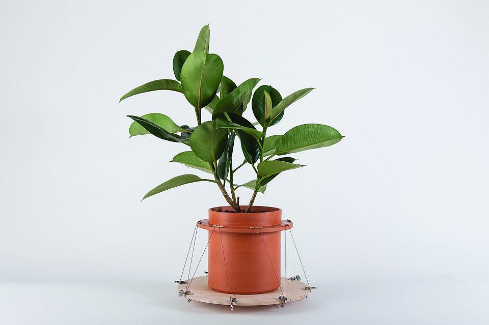 Flowerpot，Home partner，Handmade pottery pot，stainless steel，