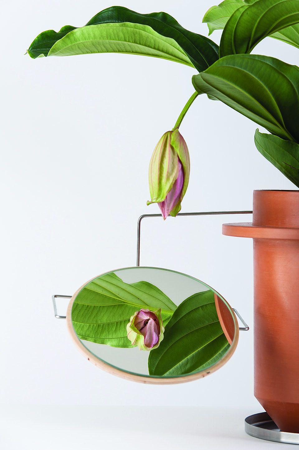 Flowerpot，Home partner，Handmade pottery pot，stainless steel，