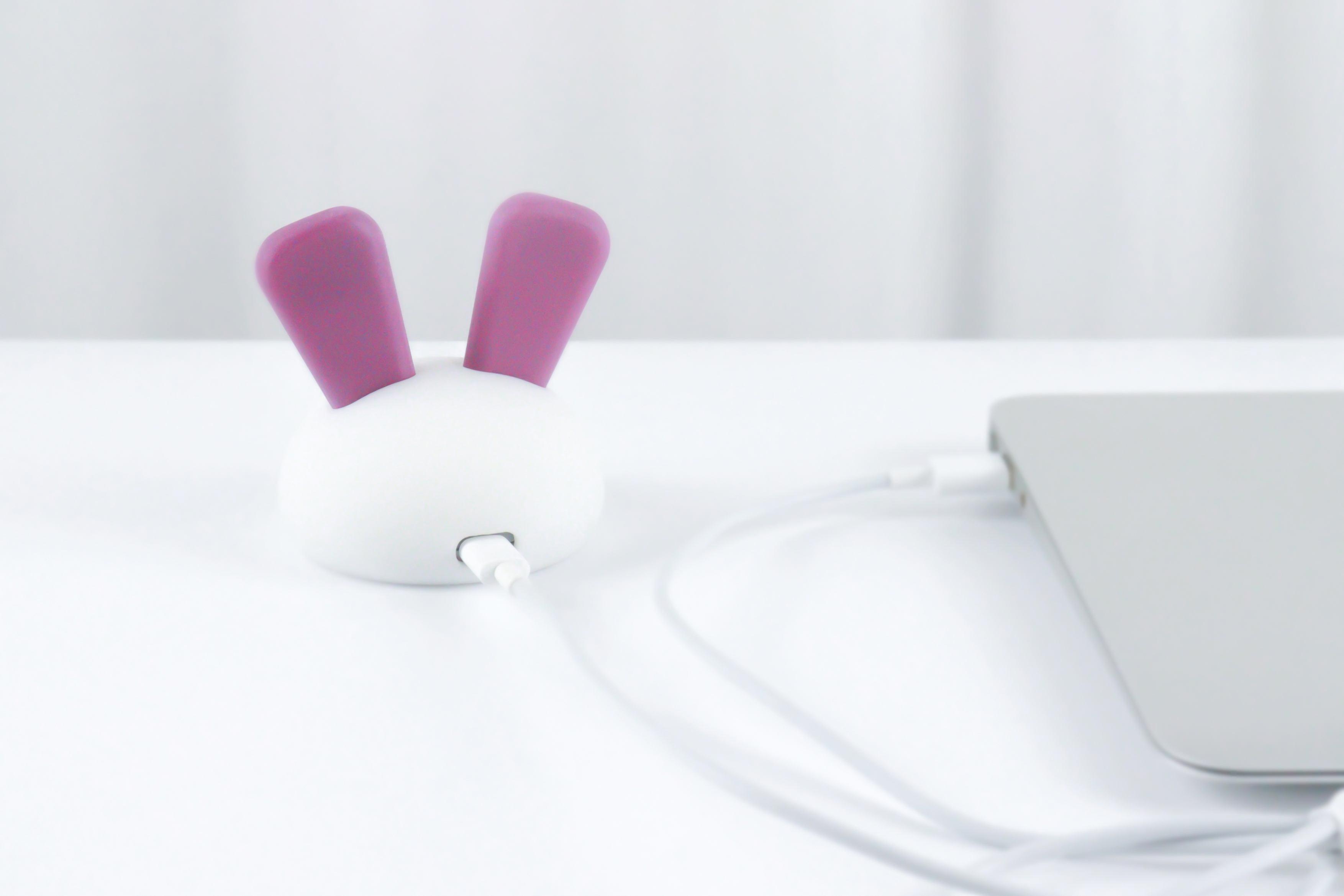 Hard disk，rabbit，USB drive，