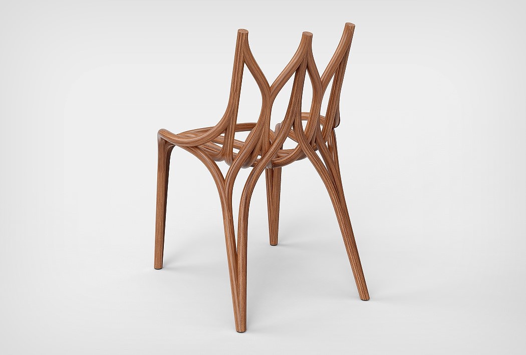 Wild Chair，野生，藤木，椅子，