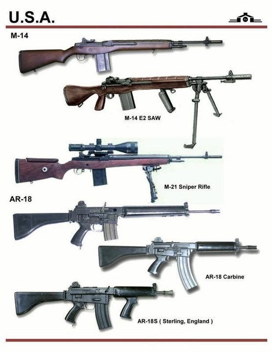 firearms，history，