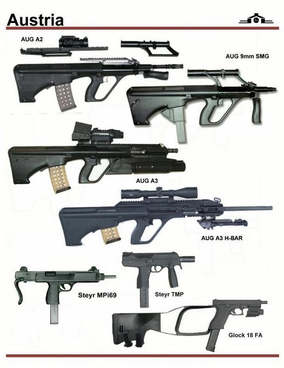 firearms，history，