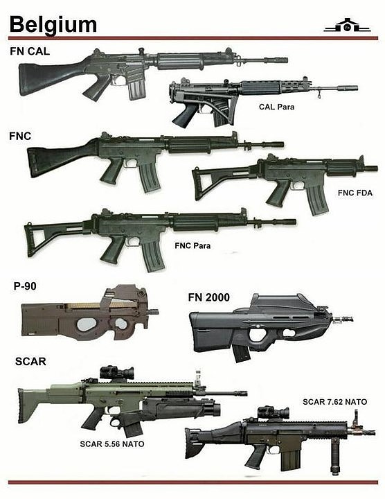firearms，history，