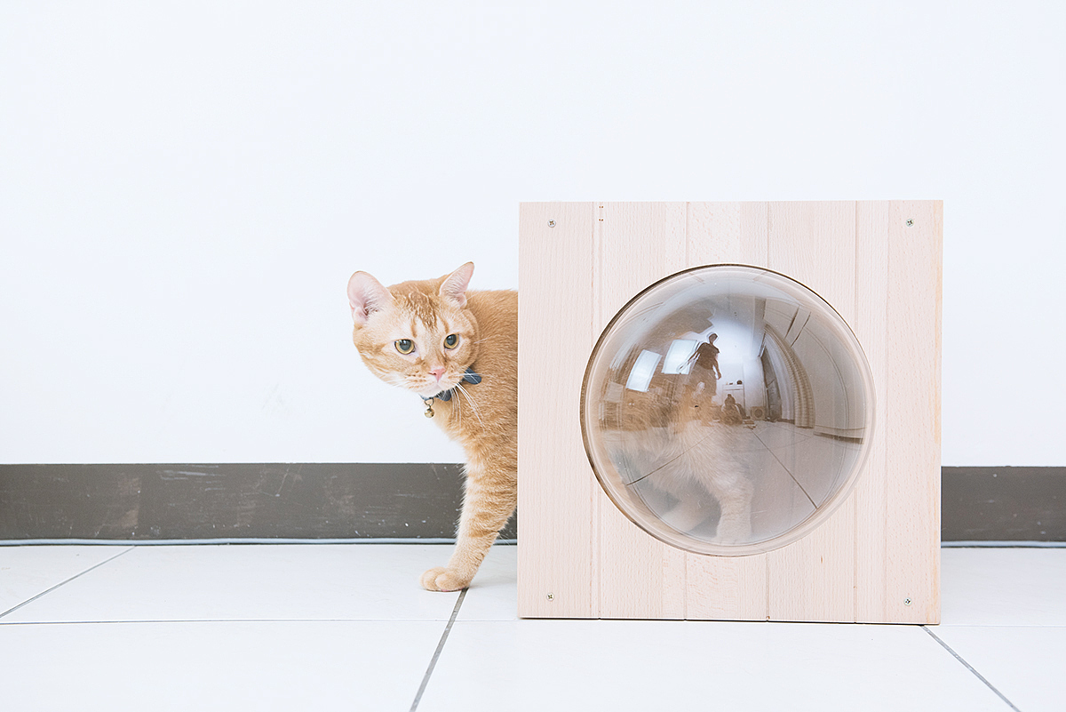 Pet products，Pet nest，fashion，beautiful，Interesting，clap，