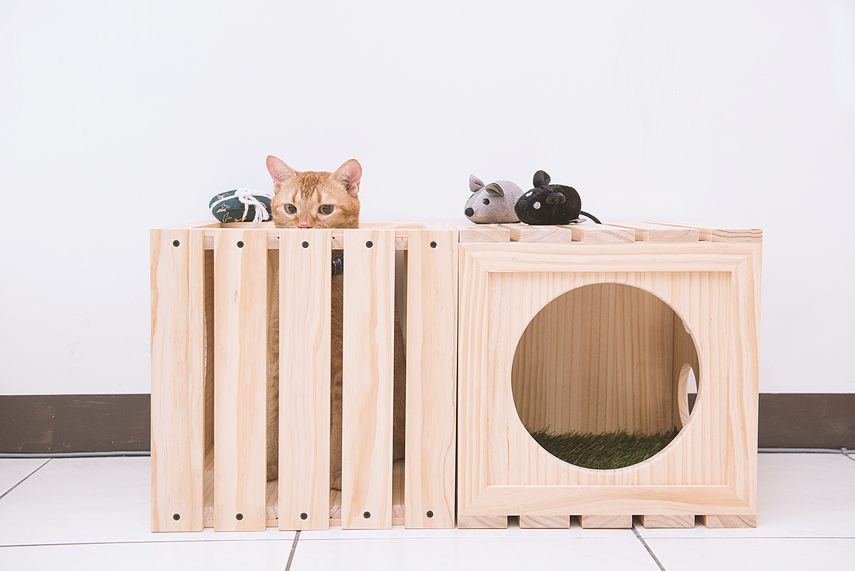 Pet products，Pet nest，fashion，beautiful，Interesting，clap，