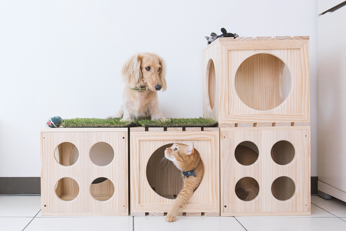 Pet products，Pet nest，fashion，beautiful，Interesting，clap，