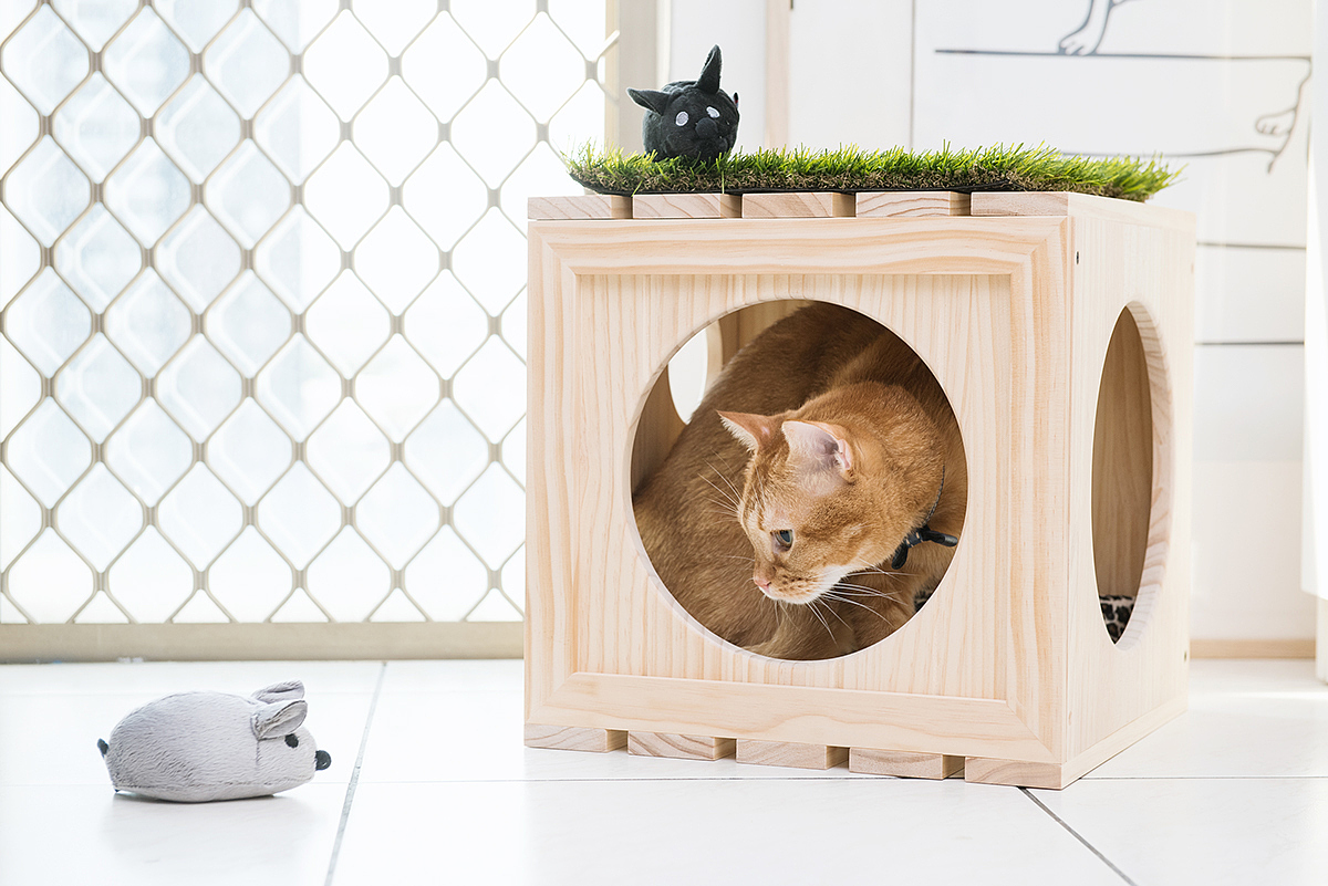 Pet products，Pet nest，fashion，beautiful，Interesting，clap，