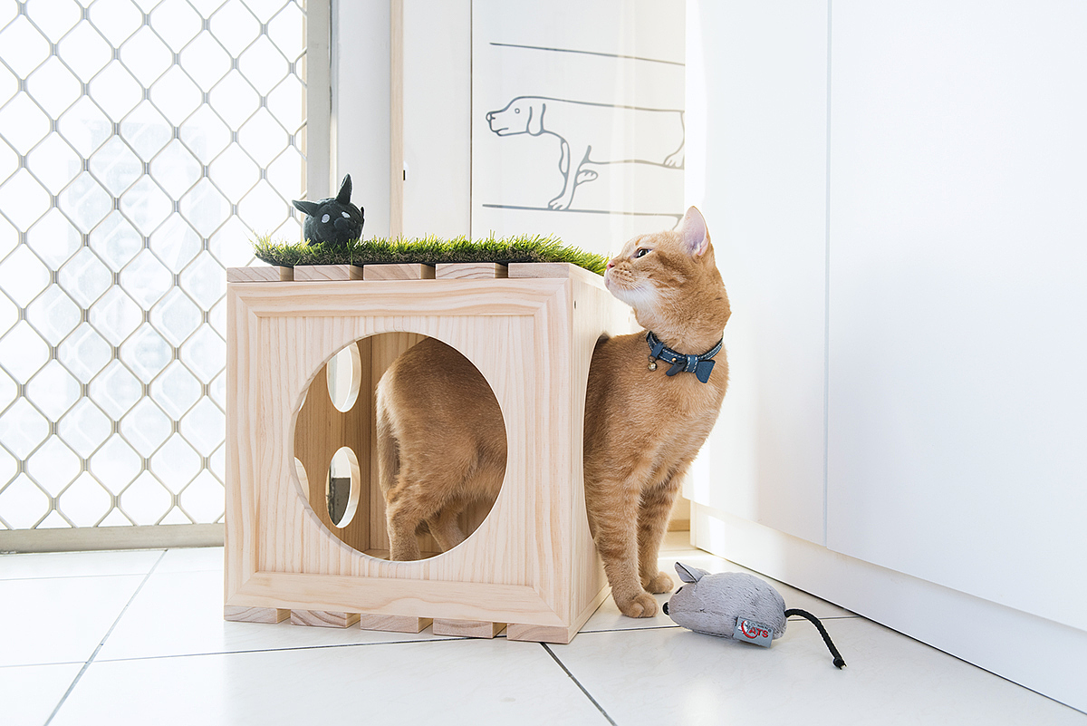 Pet products，Pet nest，fashion，beautiful，Interesting，clap，