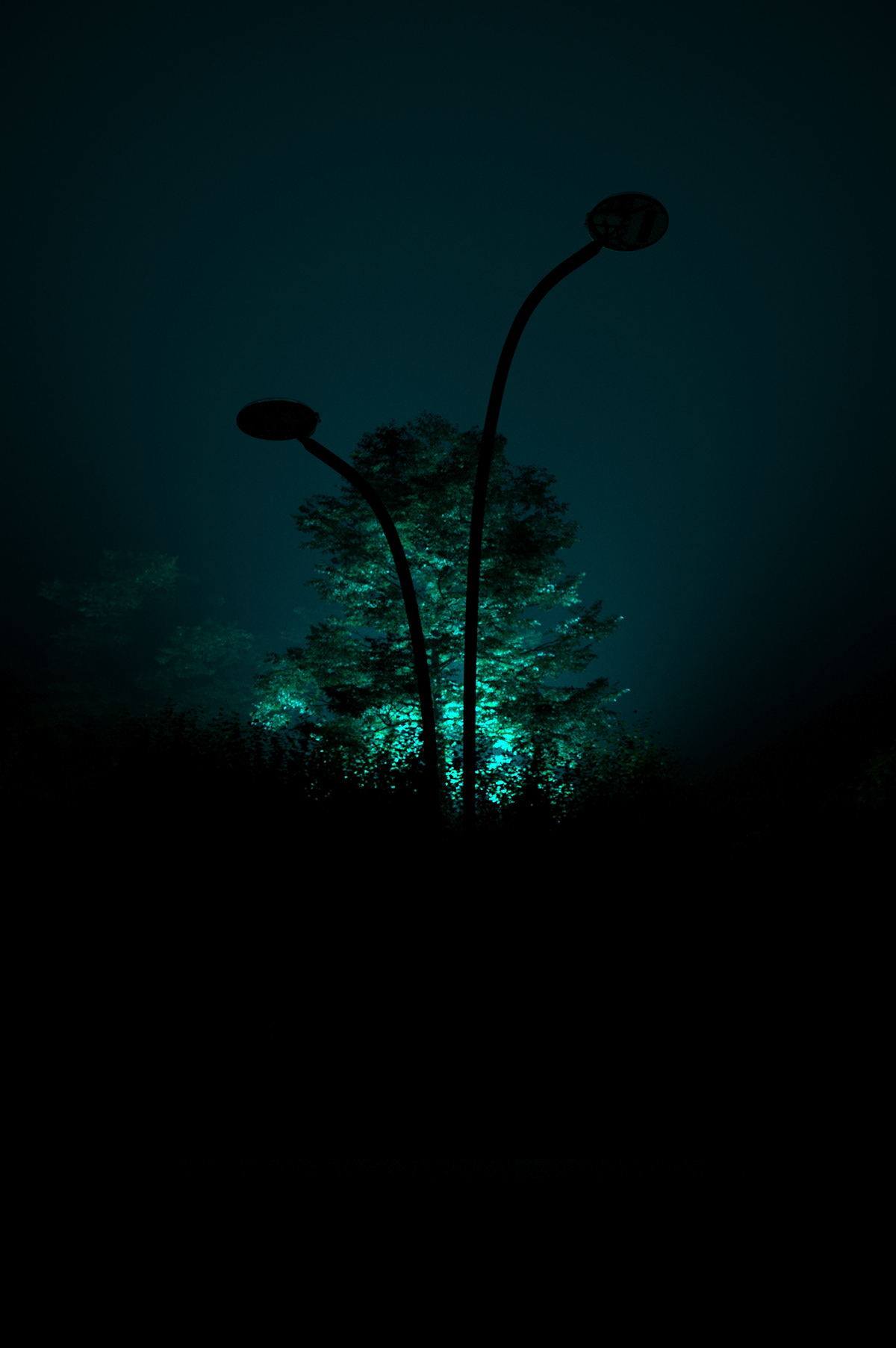 Corona Renderer，Render，lighting，GrowFX，