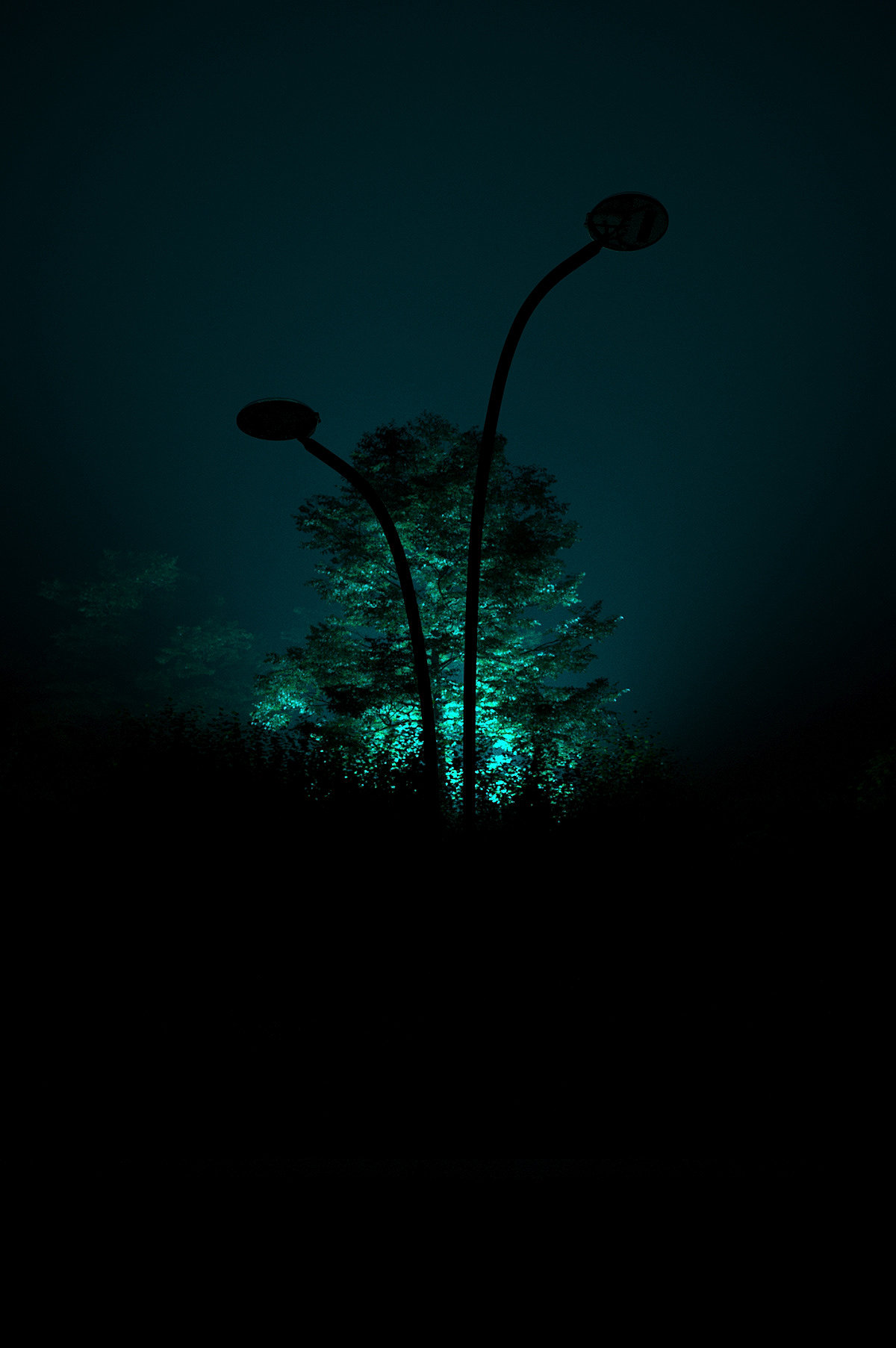 Corona Renderer，Render，lighting，GrowFX，