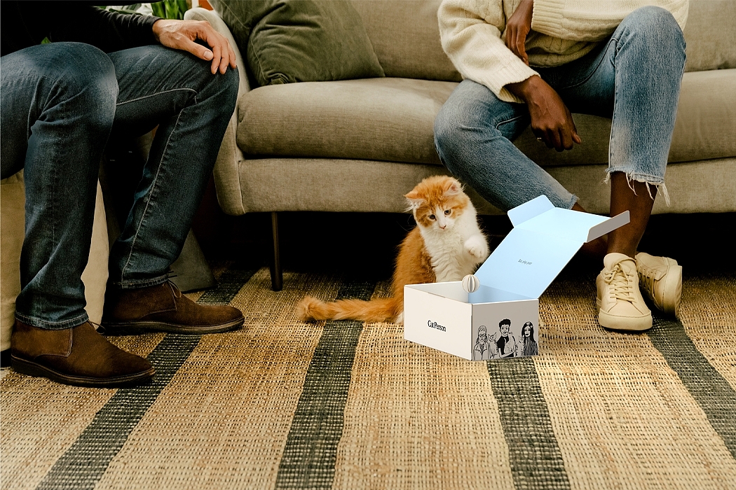 Pet Supplies & Pet，Cat house，Cat toys，originality，