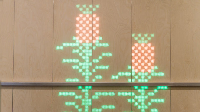 metope，interest，Art，science and technology，children，