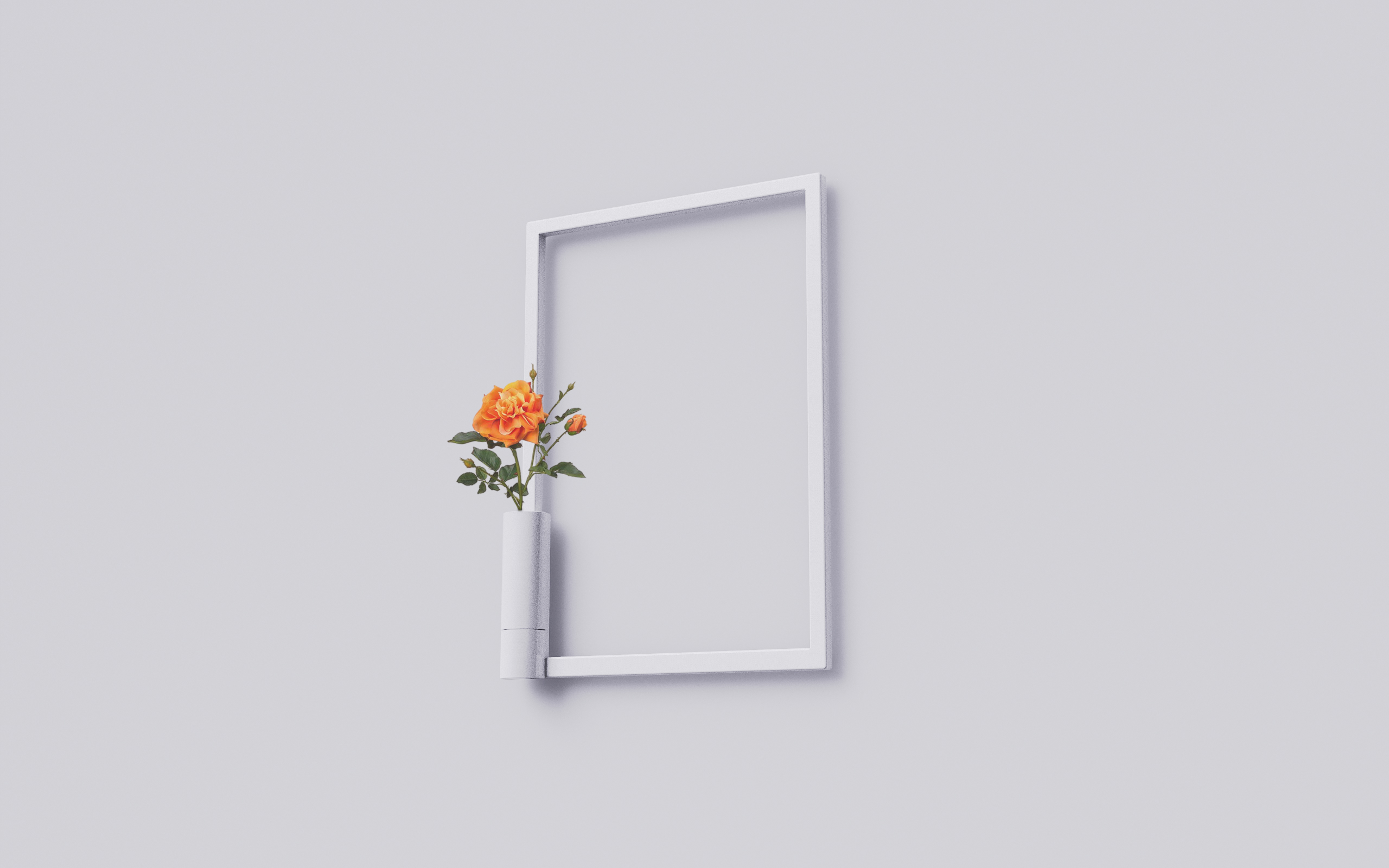 vase，Picture frame，Unconscious design，