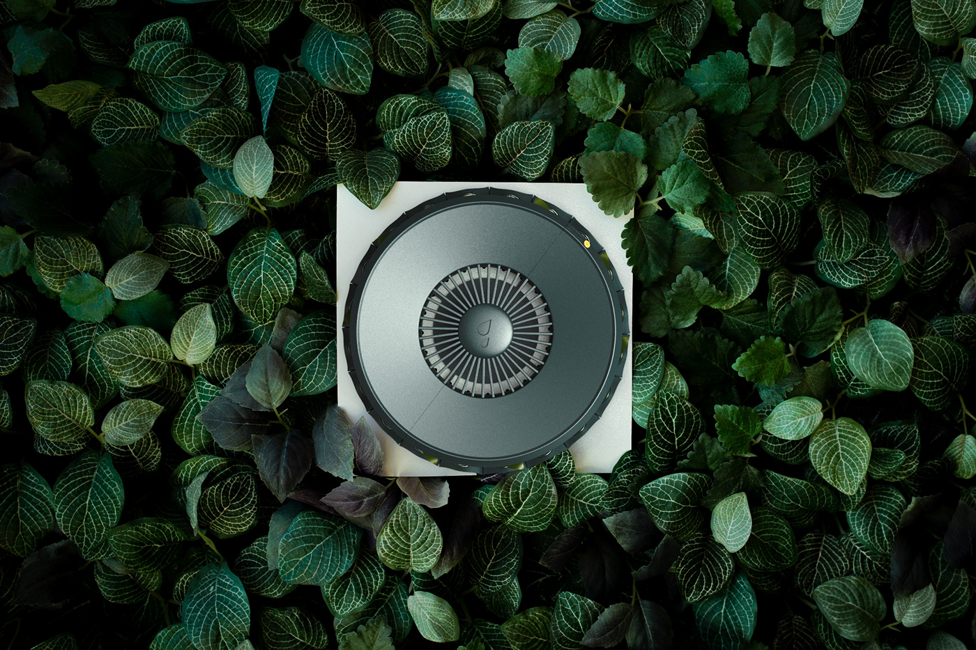 irrigation，Agriculture，watering，