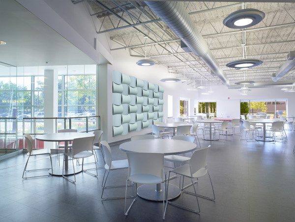 viva，colour，Wall decoration，exquisite，space，