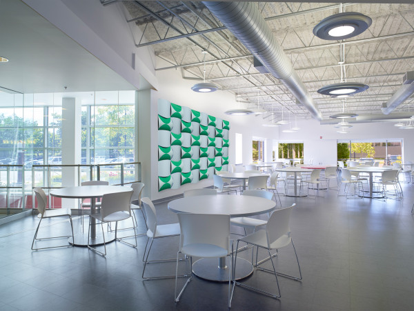 viva，colour，Wall decoration，exquisite，space，