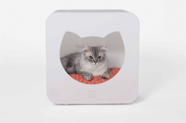 Cat nest，modularization，Cat apartment，public welfare，