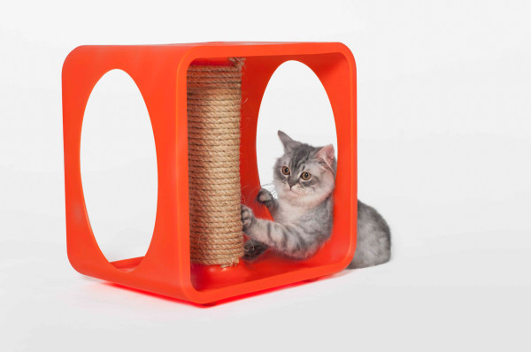 Cat nest，modularization，Cat apartment，public welfare，