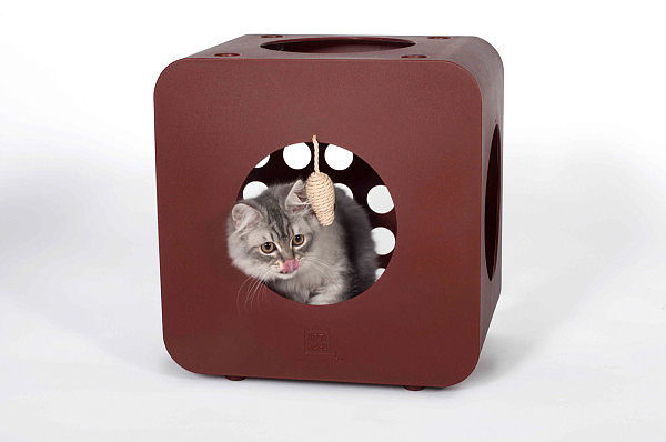 Cat nest，modularization，Cat apartment，public welfare，