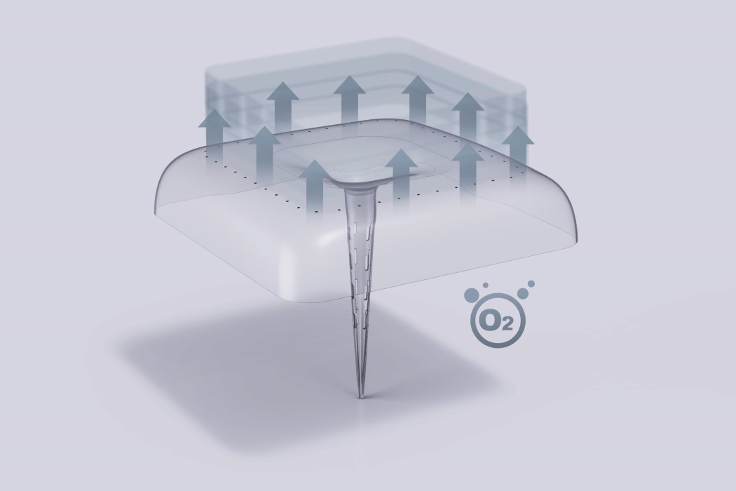 dome，greenhouse，Botany，Agriculture，