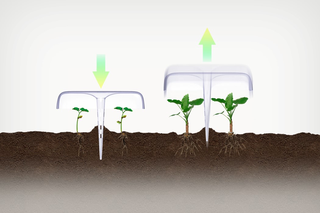dome，greenhouse，Botany，Agriculture，