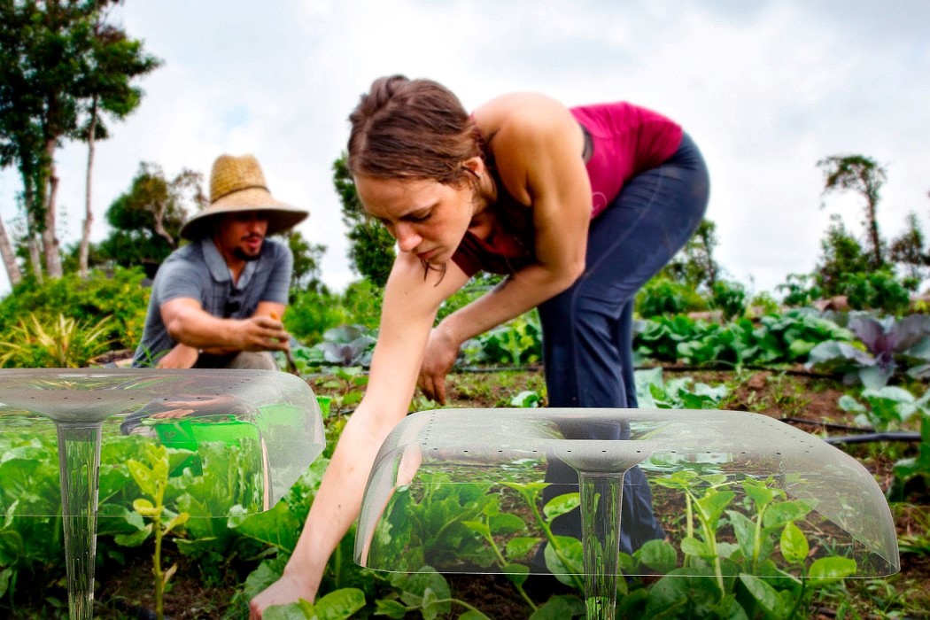 dome，greenhouse，Botany，Agriculture，